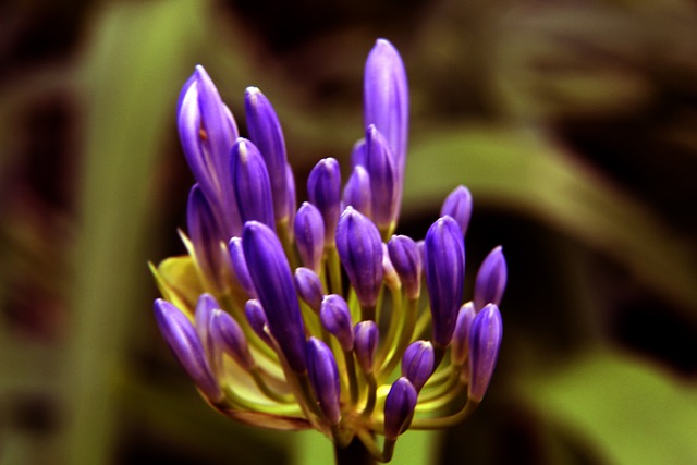 记者：由于格雷茨卡的未来不明朗，拜仁将巴莱巴加入引援清单