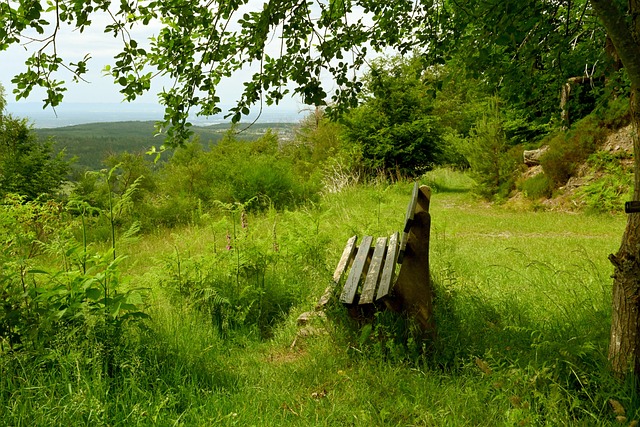 马德里竞技 马德里竞技