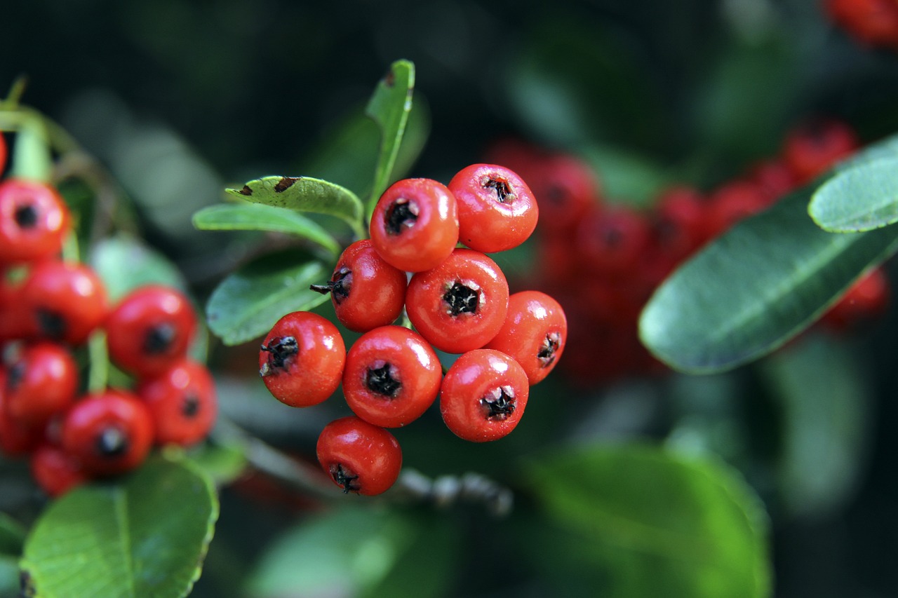 防止意外发 防止意外发